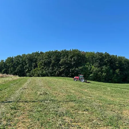 Casa Fugiano, Διαμέρισμα Castiglioni (Marche)